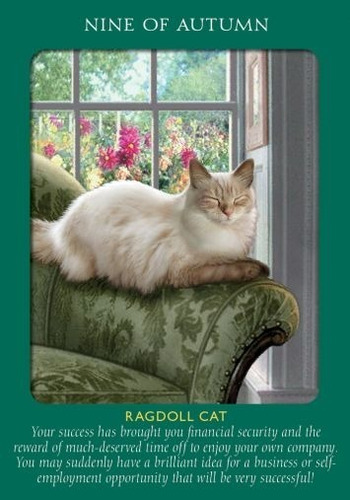 Imagen 4 de 8 de Animal Tarot Cards, Este Tarot Esta En Ingles, Por Doreen Vi