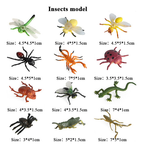 I Modelo De Insecto De Simulación 12 Juegos De Ciencia Infan