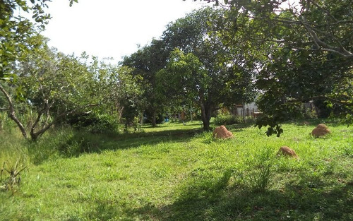 Chácara - Estancia São Paulo- Campo Limpo Paulista/sp