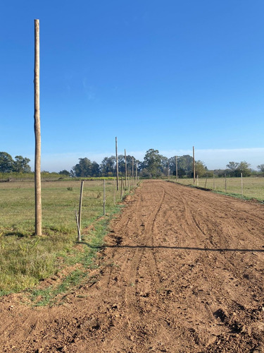 Imagen 9 de 26 de Lotes Terrenos Ideal Inversión En Zona Oeste Sobre Autopista Y Cercanía Financiados