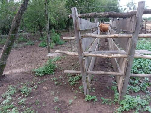 Campo Sobre Ruta