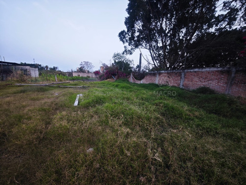 Terreno En Venta En Col. 3 De Mayo