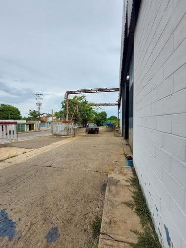 Imagen 15 de 20 de Alquiler Galpones Puerto Cabello (4.313 Metros)