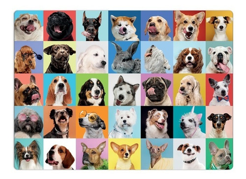 Quebra-cabeça Mosaico De Cachorro 500 Peças - Toyster