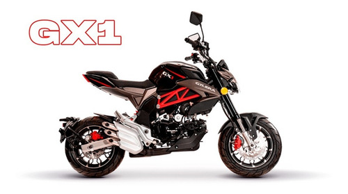 Imagen 1 de 4 de Gilera Gx1