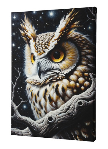 Cuadro Canvas Mural  Nocturnal Búho 60 X 50