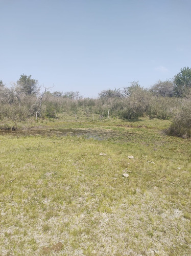 Imagen 5 de 15 de En Venta Chacra Mojones Norte 10.5 Ha