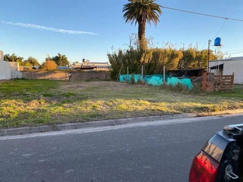Imagen 3 de 4 de Lote En Magdalena, 8.20x32