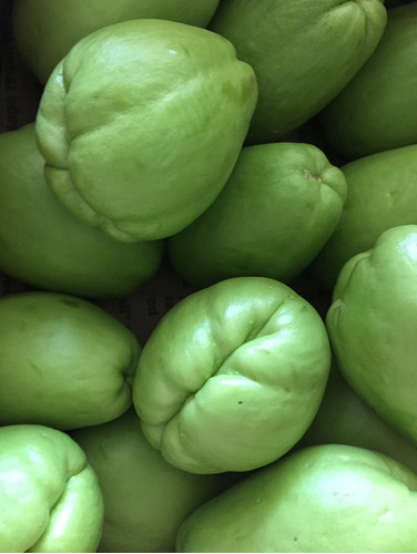 50 Semillas De Chayote Sin Espina 