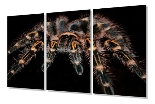 Cuadro Trip 60x90 Tarantula Araña Spider Insecto Wild P5