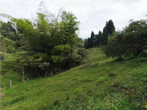 Venta De Lote En Guarne, Vereda Hojas Anchas
