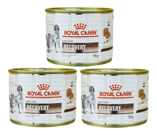 Recovery  Royal Canin ES