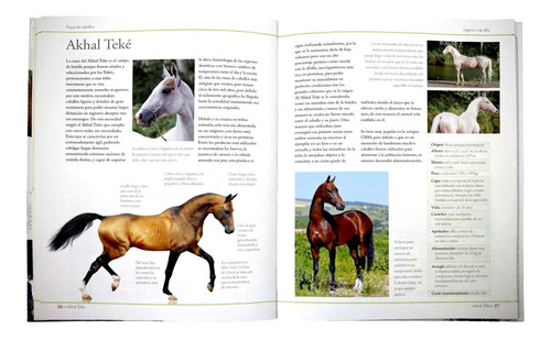 Libro Enciclopedia De Las Razas De Caballos