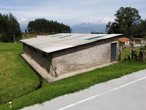 Imagen 3 de 7 de Vendo O Cambio Quinta En Pintag