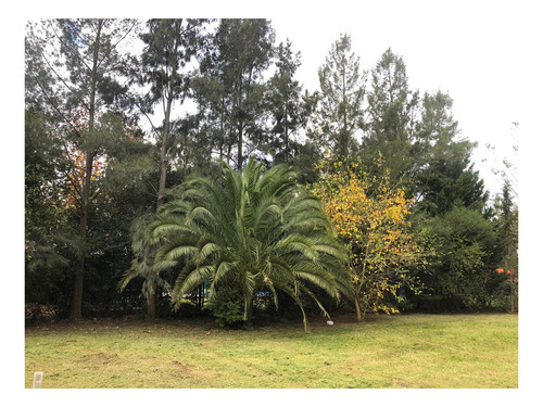Imagen 5 de 21 de Quinta En Venta - 1000mts2 - Barrio El Rodeo, Coronel Brandsen
