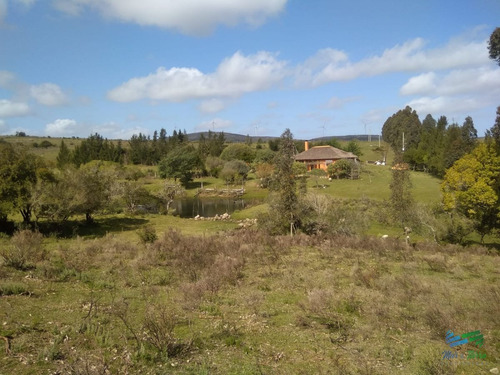 Imagen 10 de 24 de 5 Has Con Casa En Carape A Minutos De P. Edén Y Punta - Zona Rural Zona Rural
