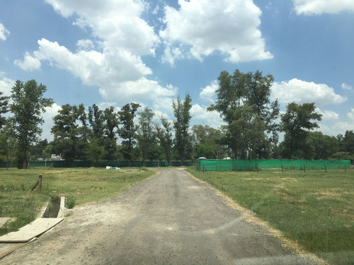 Imagen 7 de 21 de Lote En Barrio Semi - Cerrado 10x32.5 M2- Francisco Alvarez -venta Por Cesion