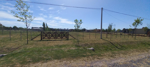 Terreno De 2000 M2 Aprox A La Venta En Uribelarrea - Cañuelas