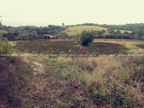 Imagem 4 de 8 de Área Rural Para Venda Em Mariana Pimentel, Boqueirão - 1208_1-1516489