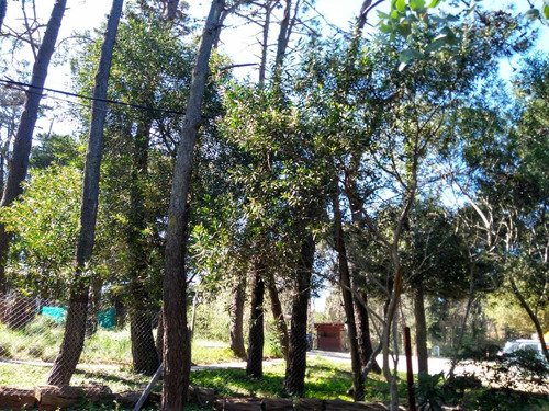 Imagen 1 de 14 de Casa Valeria Del Mar Pinamar Vendo O Permuto Bello Entorno