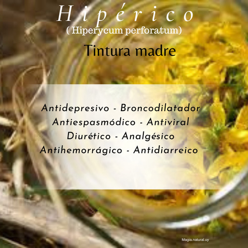 Tintura Madre De Caléndula.30 Ml.magia Natural. Homeopatía