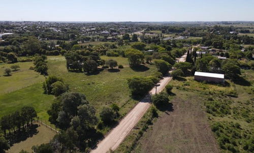 Imagen 5 de 14 de Terreno De 1.000 En Zona De Quintas, A Pocos Metros De Ruta 26