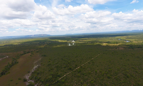 Imagem 8 de 20 de Fazenda Em Jalapão - 2648