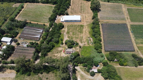 Venta De Terreno De 1 Hectarea - Apto Industria - Villa Esquiu