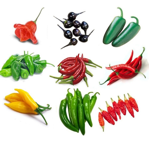 Combo Semillas De Ajies Chiles Picantes - 9 Variedades - 