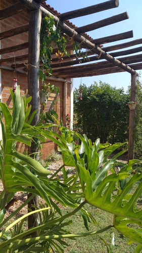 Imagem 16 de 30 de Chácara Com 3 Dorms, Nova Analandia, Analândia - R$ 600 Mil, Cod: 10131975 - V10131975