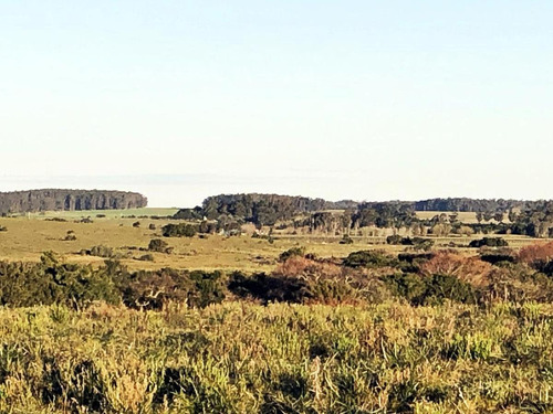 Imagen 6 de 9 de Campo - José Ignacio