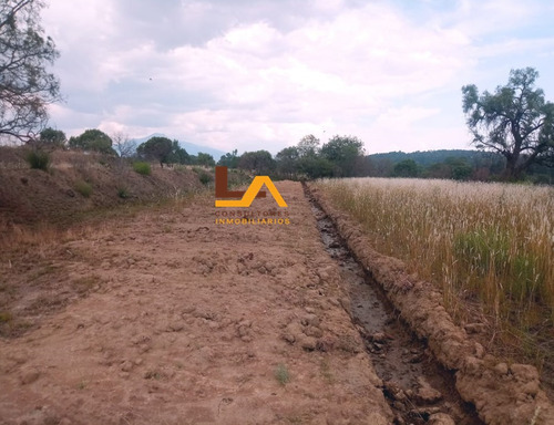 Imagen 5 de 10 de Terreno En Rustico En Venta En San Lucas Cuahutelulpan