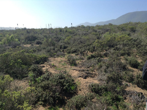Terreno Construccion En Venta En Los Vilos