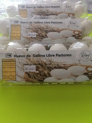 Huevo De Gallina Libre Pastoreopaquete 12 Pzas. 