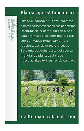 Té Traditional Medicinals Cúrcuma Con Jengibre 32g