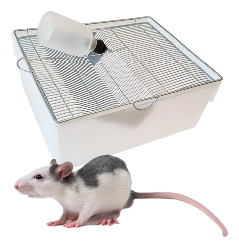 Biotério Camundongos Ratos Mercol Hamster Nº01