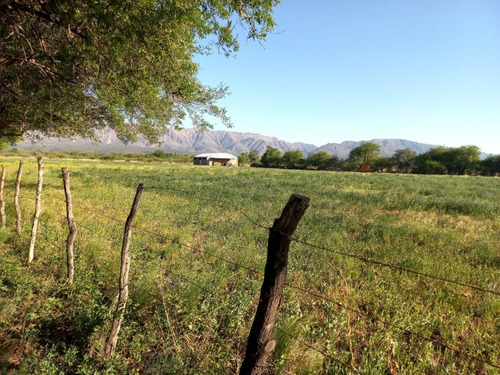 Imagen 13 de 14 de Campo Productivo En Leandro Alem