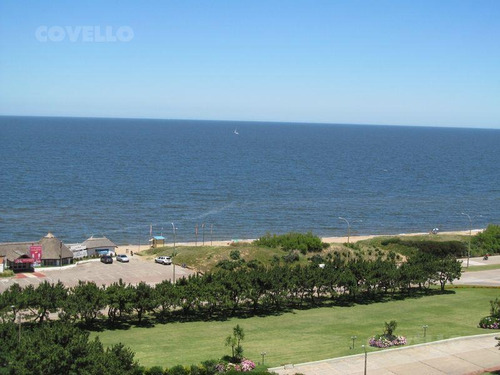 Imagen 14 de 16 de Departamento En Playa Mansa. Alquiler Temporada 2022