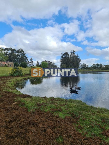 Imagen 16 de 22 de Fraccionamiento Zona: Ruta 109 Arroyo Valdivias
