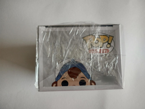 Funko Pop Gravity Falls Dipper Pines N 240 Chase