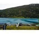 Imagen 6 de 11 de Sitio En Venta. Isla Huemules. Región De Aysén