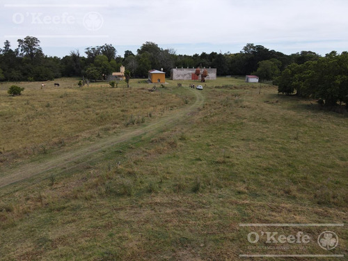 Imagen 14 de 25 de Campo En Venta En Lezama - 530 Has. Ideal Turismo Rural Con Laguna. Pesca - Retasado