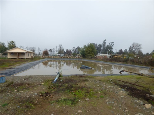 Imagen 7 de 12 de Agrícola En Venta En Pelarco
