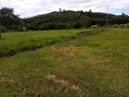 Imagem 8 de 12 de Área Comercial À Venda, Potuverá, Itapecerica Da Serra/sp. - 6263