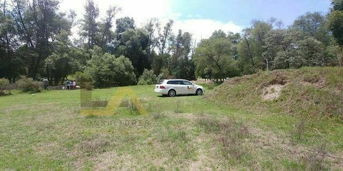 Imagen 6 de 11 de Terreno En Venta En Amaxac Tlaxcala.