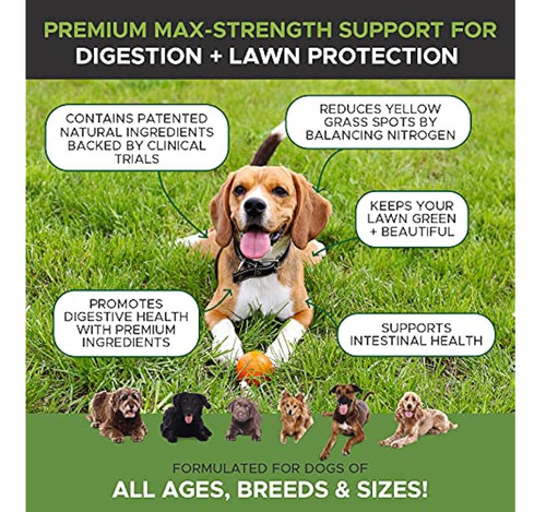 Pethonesty Premium Grassgreen+ Burn Spot Chews Para Perros -