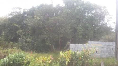Imagem 3 de 4 de Terreno Balneário Tupy Itanhaém 100 Mts Da Rodovia.