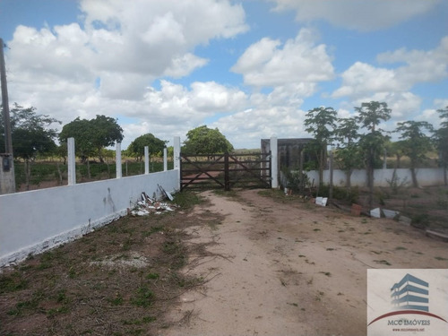 Imagem 22 de 30 de Granja A Venda Em Macaíba