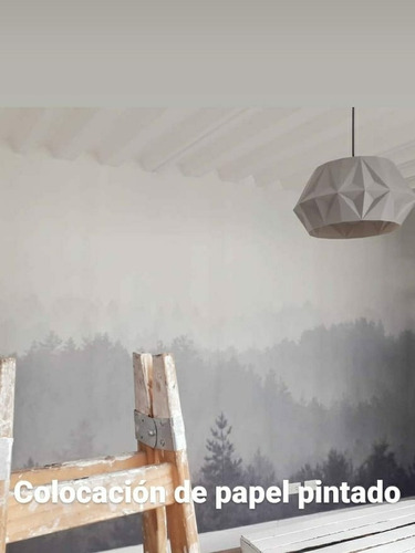 Imagen 8 de 9 de Empapelador Pintor