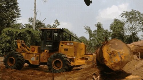 Manipulador De Troncos Xcmg Skidder Xc360 (dolar Oficial)